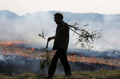 Delhi-NCR Pollution: Stubble Burning Happening Due to Failure of 4 State Govts, Says NHRC