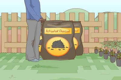 How to Use Horticultural Charcoal