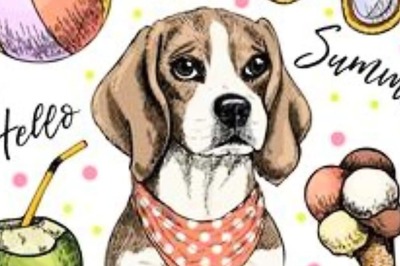 5 Crucial Tips For Keeping Your Pets Hydrated And Healthy This Summer