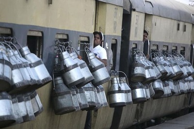 Govt Can Spend Crores on Bullet Train But Has No Money for Dairy Farmers, Says Shiv Sena