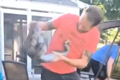 Watch: Why You Should Never Mess With A Snake