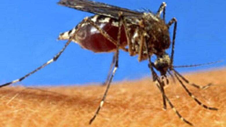 3 die, 600 affected in West Bengal due to dengue