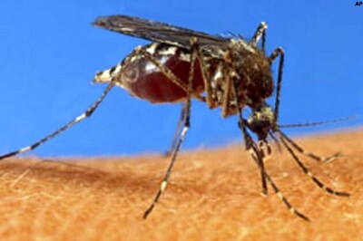 3 die, 600 affected in West Bengal due to dengue