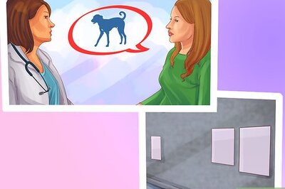 How to Advertise a Lost Dog