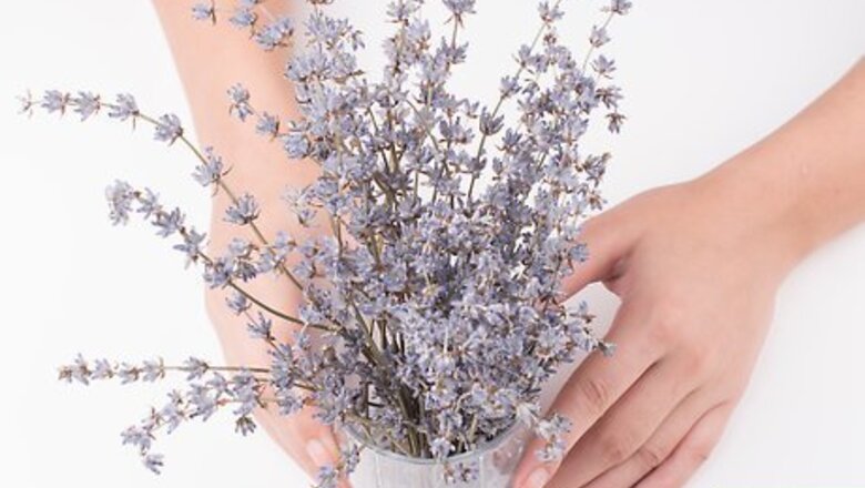 How to Make Lavender Breath Freshener