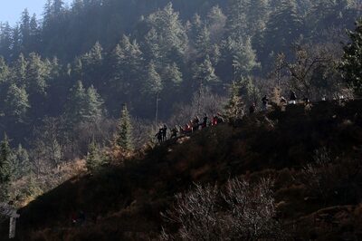 Uttarakhand: Construction at Nainital’s Jilling Estate Stayed, HC Says Google Maps Shows Substantial Green Cover Depletion