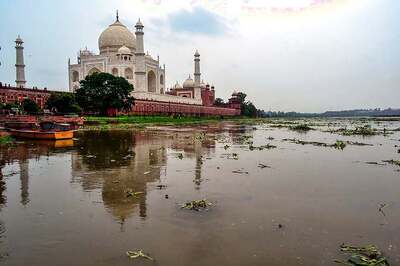 Archaeological Survey of India Starts Work on Cleaning Insect Faeces Deposited on Taj Mahal
