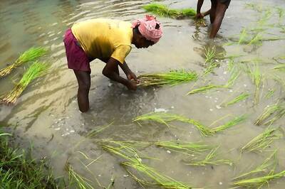 Budget 2018: Jaitley Promises 1.5 Times Higher MSP Than Production Cost of Kharif Crops
