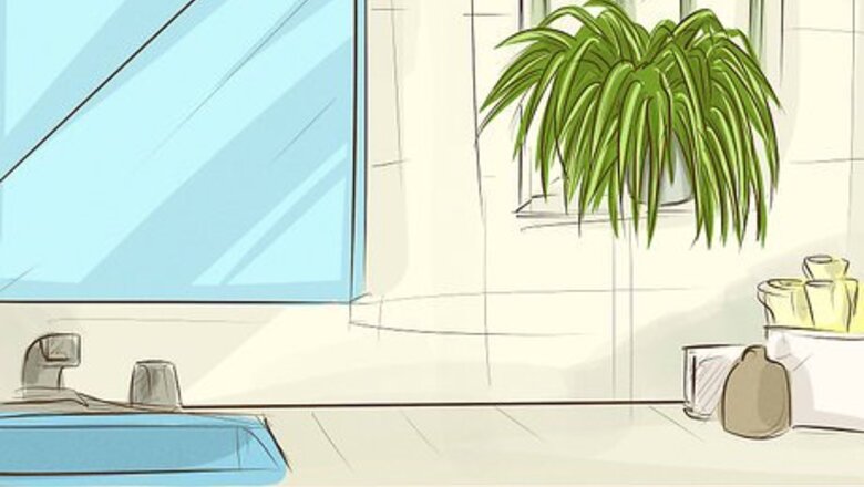 How to Choose Houseplants for the Bathroom