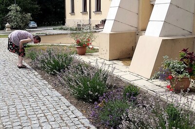 Flower Power: Gardening as Therapy in Poland