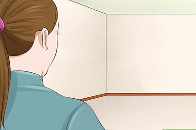 How to Plan and Prepare for Your New Cat