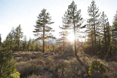 Uttar Pradesh: Two held for hunting animals of reserve forest area
