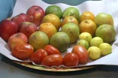 Food guide: For the single professional