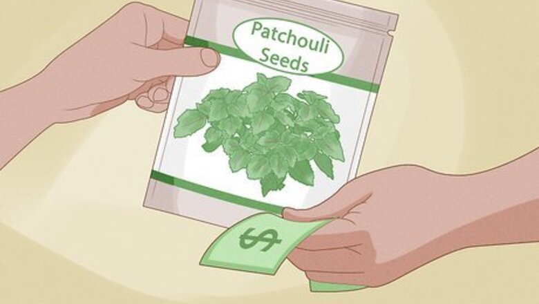 How to Grow Patchouli