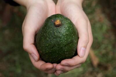 5 Vitamin E-rich Foods to Revitalise Your Skin and Hair This Winter