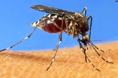 Dengue cases on the rise, UP govt sounds alert