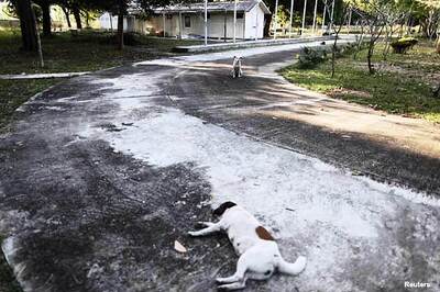 Quake hits Andamans, Orissa, 2 injured