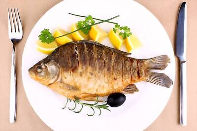 Eating fish daily can help you deal with depression