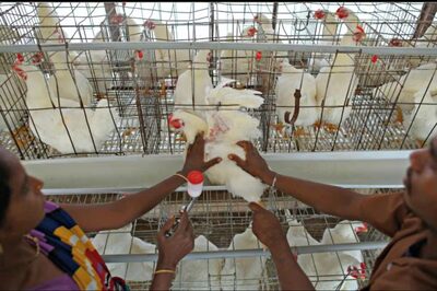 Heavy Loses: Restaurant, Meat Stall Owners Shut Shop After Non-Veg Ban Near Bengaluru Aero Show Venue