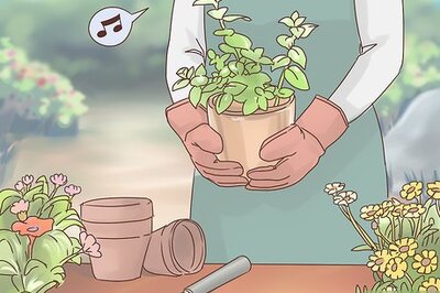 How to Use Distraction as a Coping Skill for Bipolar Disorder