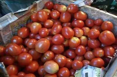 Easy Loans From 'State Bank of Tomato', Courtesy UP Congress