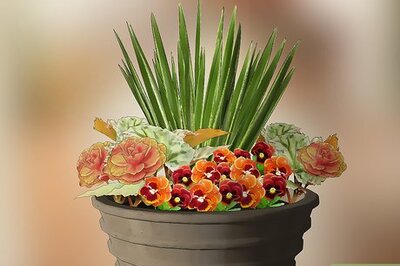 How to Plant an Autumn Container Garden