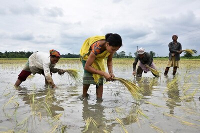 ‘Populist Approach to Agriculture Led to Water Crisis, Loan Waiver Wrong Practice': Ex-NABARD Chairman