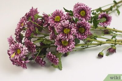 How to Make a Floral Headdress