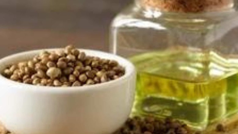 Wondering Why Hemp Seed Oil Is Being Perceived As A Wonder Element? We Have All The Answers For You