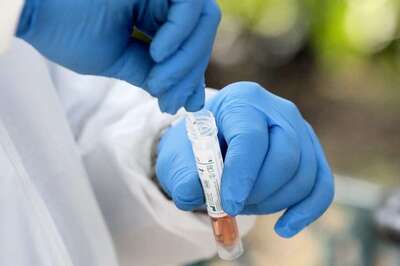 Can Antibody Tests Help End the Covid-19 Pandemic? A Hope That'll Lead to Reopening of Economy