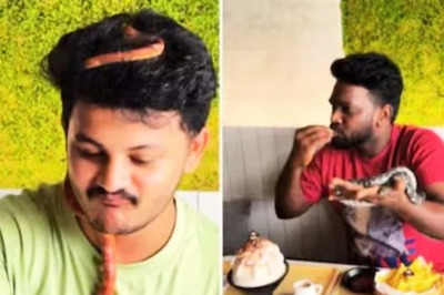 This Reptile Dessert Cafe In Malaysia Is Likely To Give You The Creepy Crawlies