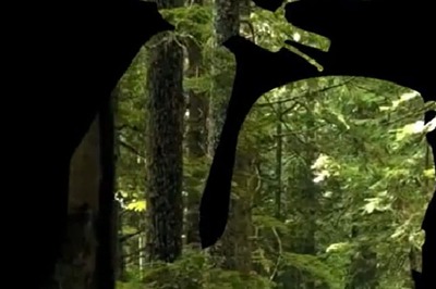 Only 1% Indians Plan to Buy E-Scooters in Next 6 Months, Safety Top Concern: Report