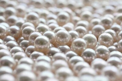 Diner finds rare pearl worth USD 600 in her seafood dish!