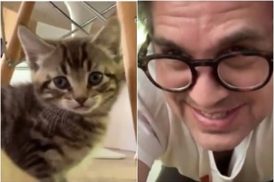 Mark Ruffalo Spends Quality Time with Pet Cat Biscotti, Watch Video