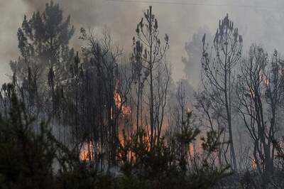 Forest Fire Triggers Landmine Blasts along LoC in Jammu & Kashmir's Poonch District