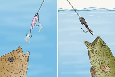 A Comprehensive Guide to Choosing the Best Fishing Lures