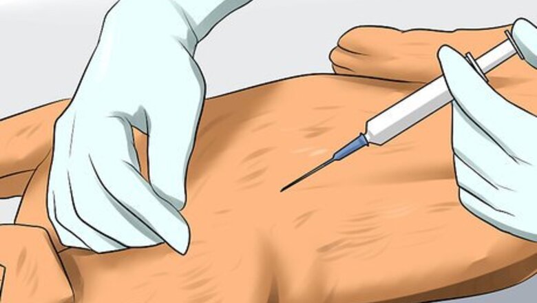 How to Prevent Canine Coronavirus