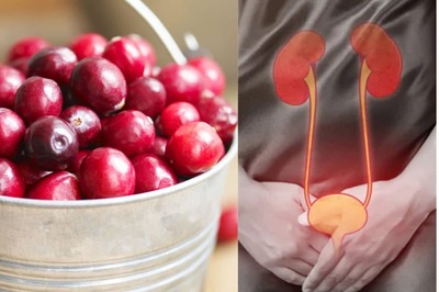 Cranberries Can Cut the Incidence of UTI by 50%: Study
