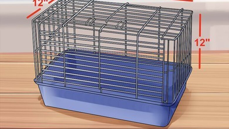 How to Choose Good Cages for Hamsters