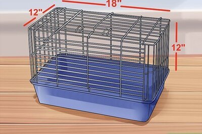 How to Choose Good Cages for Hamsters