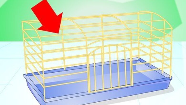 How to Make Your Guinea Pig Comfortable in Its Cage