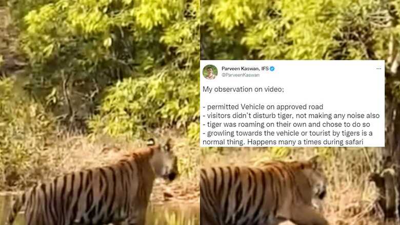 'Unable to Understand': Indian Forest Officer Backs Raveena Tandon amid Uproar Over Safari Video