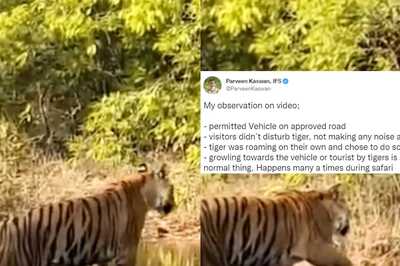 'Unable to Understand': Indian Forest Officer Backs Raveena Tandon amid Uproar Over Safari Video