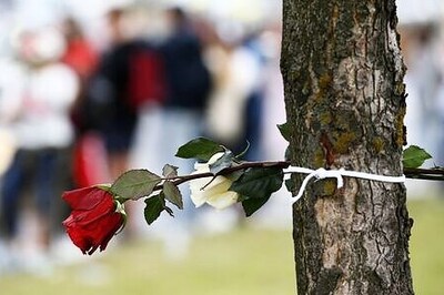 'We don't need war': Belarus releases detainees in bid to quell protests