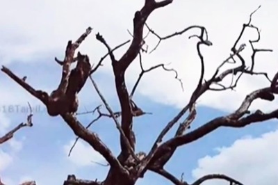 Inside Tamil Nadu's Sevalpatti Zamin Palace: The Mysteries Of A Once Majestic Residence