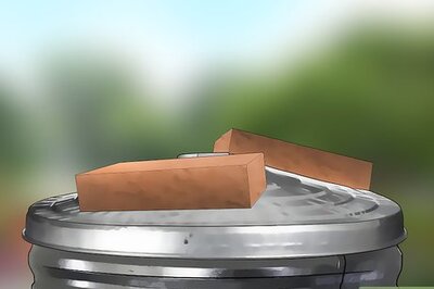 How to Keep Raccoons Out of a Trash Can