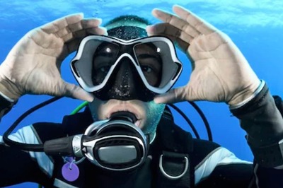 Marine Diver's Video Of Devil Fish In A Giant Cluster Leaves Internet Shocked