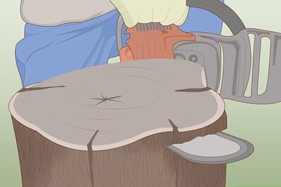 How to Decorate Tree Stumps