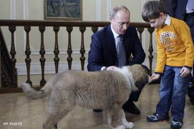 Five-year-old kid names Putin's new puppy