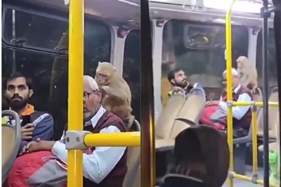 Monkey 'Boards' Lucknow Bus and Creates Panic Among Passengers in Viral Video